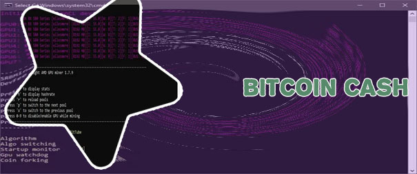 Bitcoin cash dollar