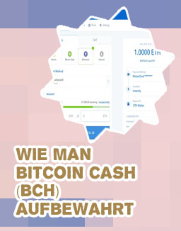 Bitcoin cash wallet windows