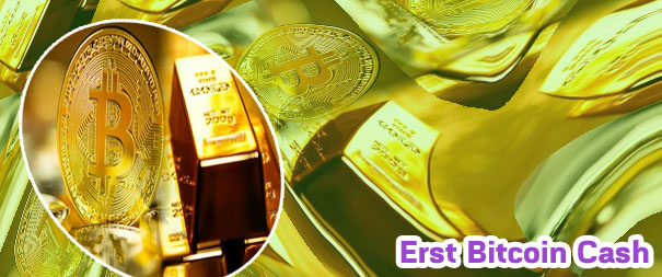 Bitcoin gold erhalten
